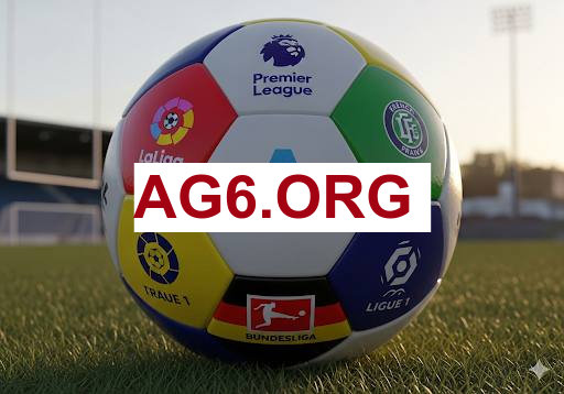 小米钱包手机界面